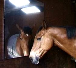 Stable Mirrors