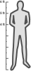 Normal Male Height