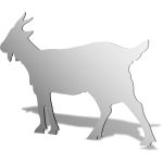 Goat Mirror Design