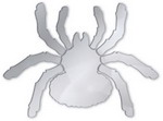 Part of our new Childrens & novelty range.  Are you brave enought to have this acrylic spider on your walls.