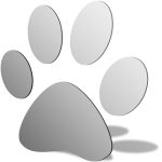 Dog Paw Mirror Design