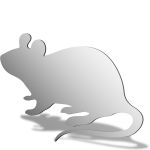 Mouse Mirror Design