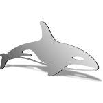 Killer Whale Mirror Design