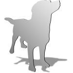 Labrador Mirror Design