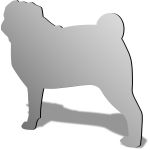 Pug Mirror Design