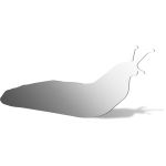 Slug Mirror Design