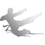 Kung Fu Mirror Design