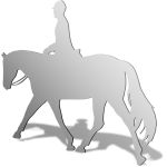 Equestrian Mirror Design