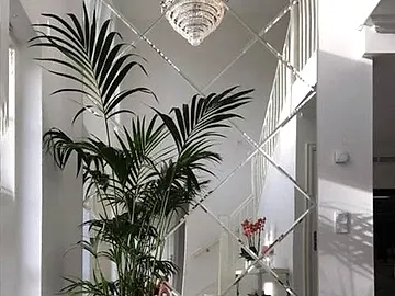 decorative mirror wall finish